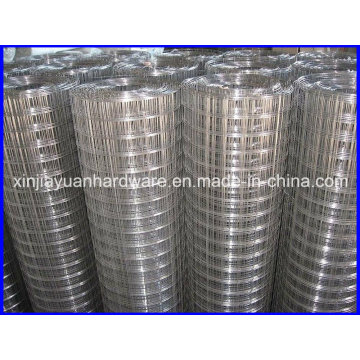 Hot DIP Galvanized /PVC Coated Welded Wire Mesh